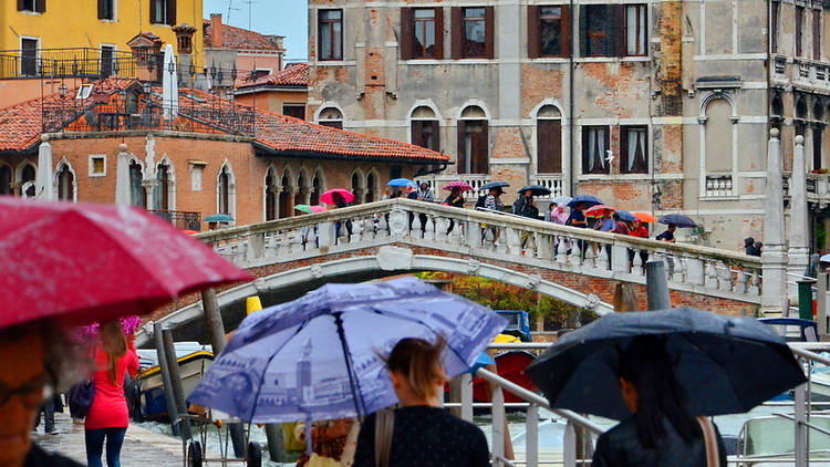 Venice in the rain