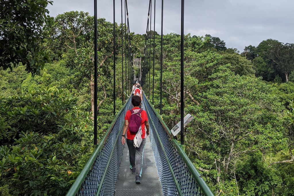 the-best-hiking-groups-in-singapore