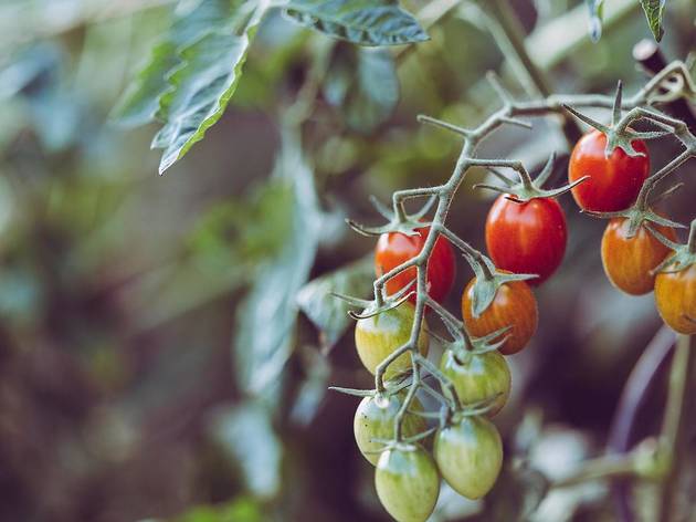 Photo: Markus Spiske/Unsplash