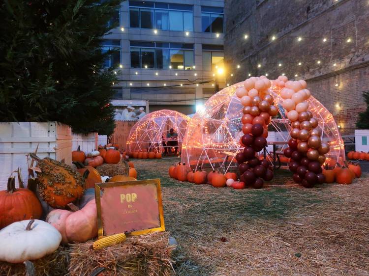 Halloween in Chicago 2024 Your Complete Guide to Celebrating