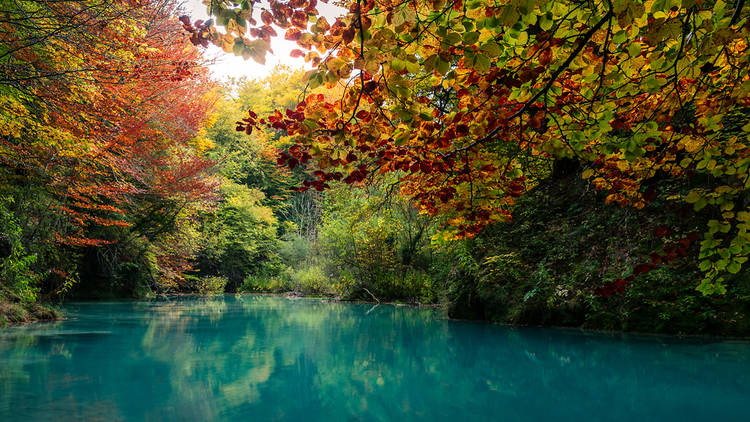 Parque Natural Urbasa - Andía. Navarra