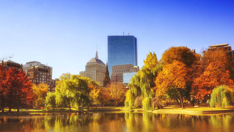 For a spectacularly spooky time: Boston, Massachusetts