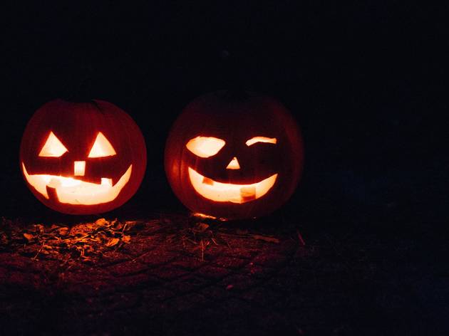 Halloween Halloween