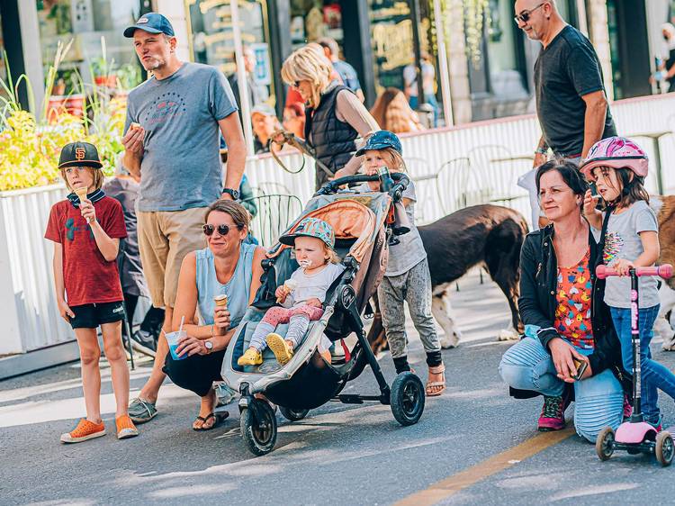 Experience of the city's best sidewalk sales