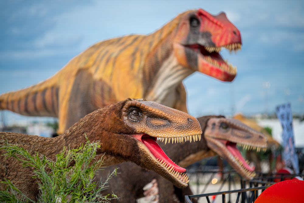 Snag Tickets To Jurassic Quest Drive Thru Experience This Fall