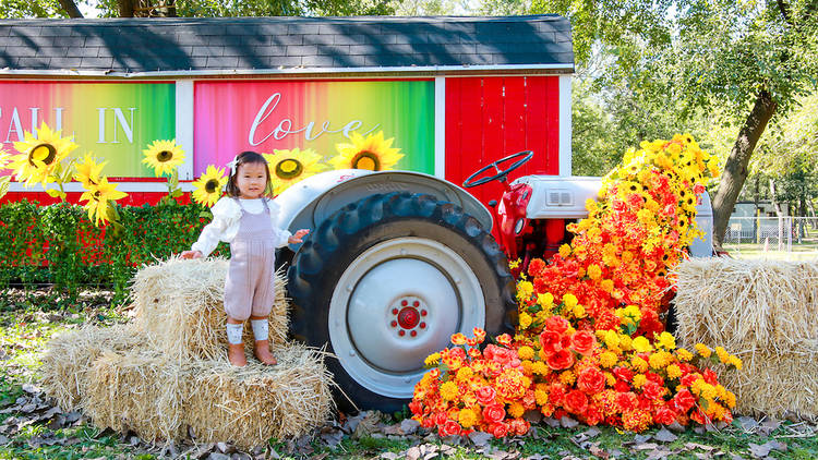 queens county farm museum 