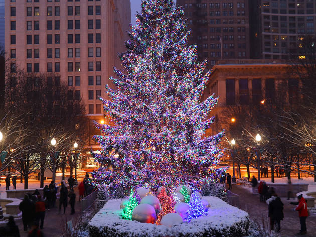 Chicago is searching for the perfect Christmas tree to display in ...