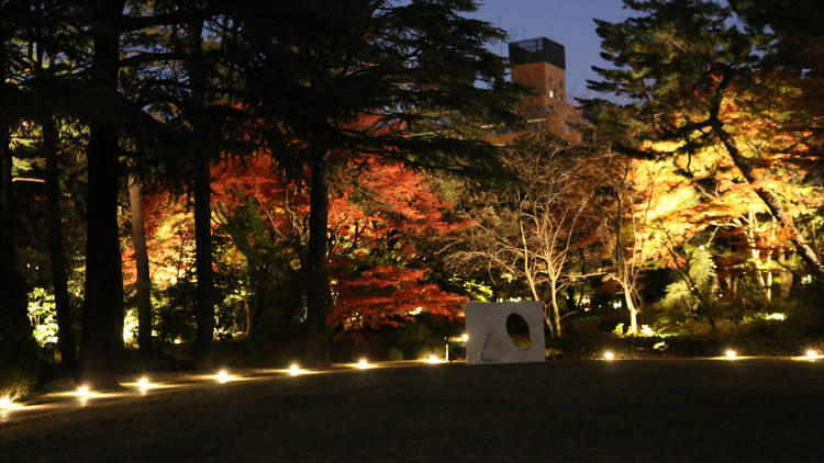 東京都庭園美術館 庭園