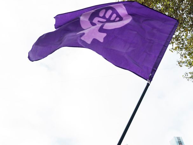 Bandera reivindicativa de la lluita pels drets de les dones Bandera reivindicativa de la lluita pels drets de les dones