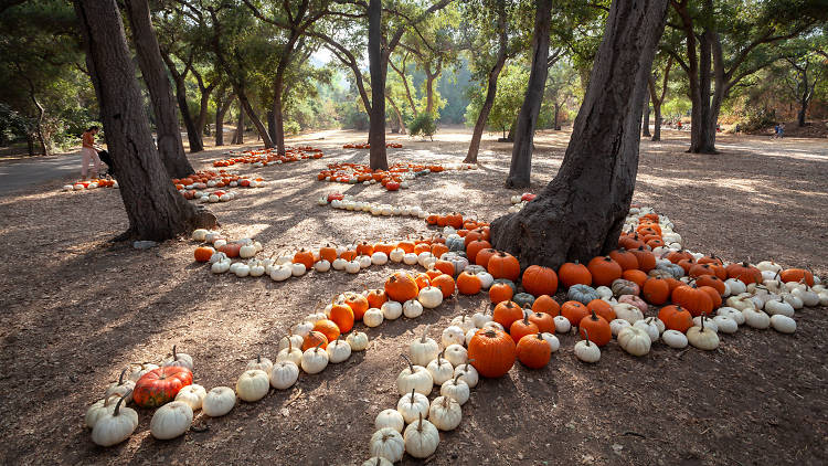 Halloween at Descanso