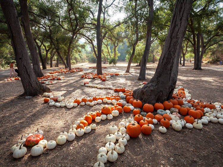Halloween events in Los Angeles for spooky fun Halloween events in Los Angeles for spooky fun