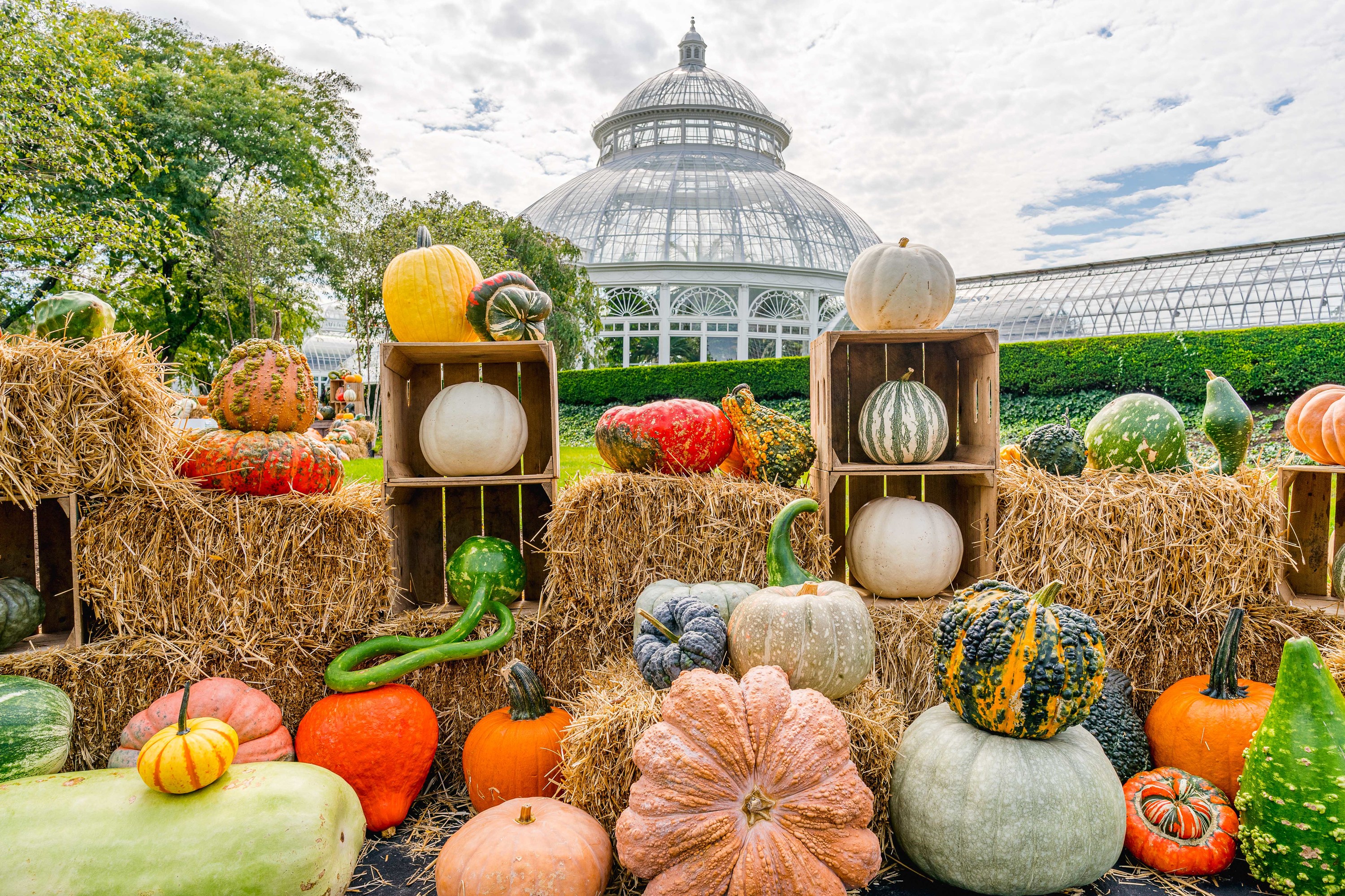 NYBG's Great Pumpkin Path