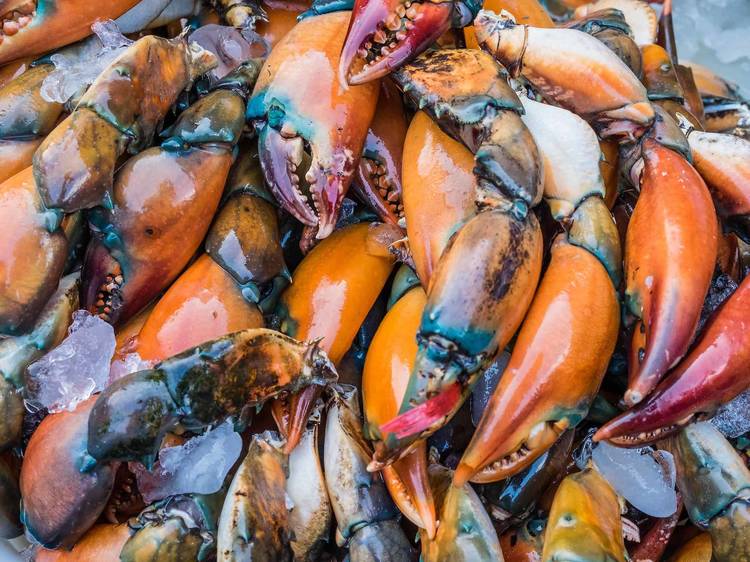 15 Options for Excellent Stone Crabs in Miami - 2022/23 Season