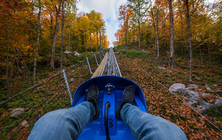 Mountain coaster