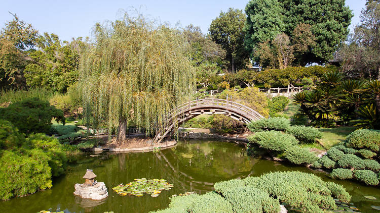 Huntington Library, Art Museum & Botanical Gardens