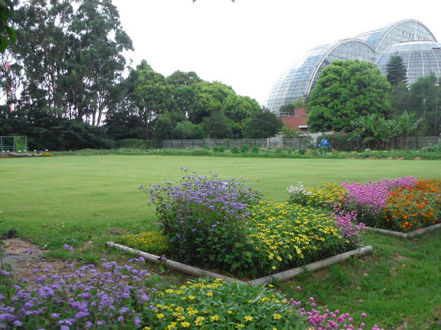 Best Botanical Gardens And Greenhouses In Tokyo Time Out Tokyo