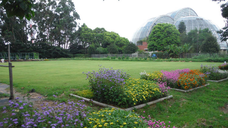 Yumenoshima Park Tropical Greenhouse Dome