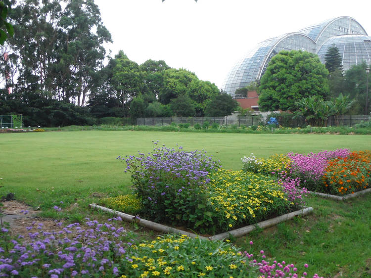 Yumenoshima Park Tropical Greenhouse Dome