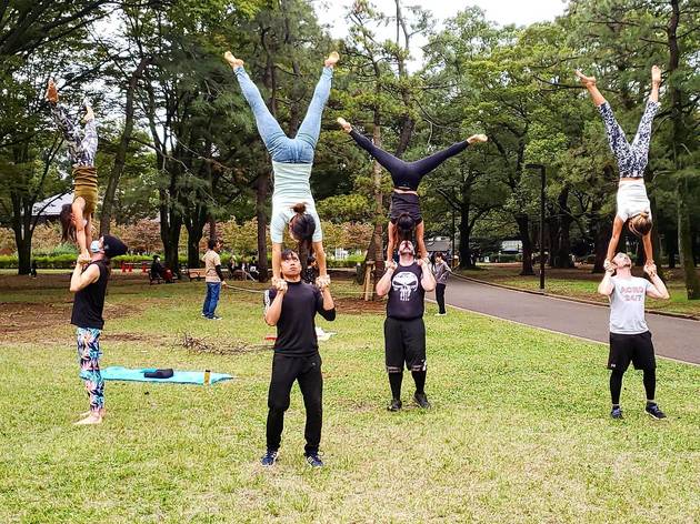 Acroyogis Acroyogis