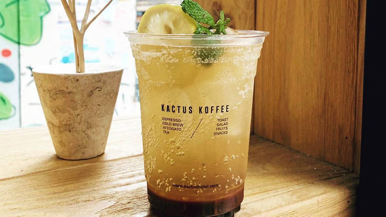 Kactus Koffee