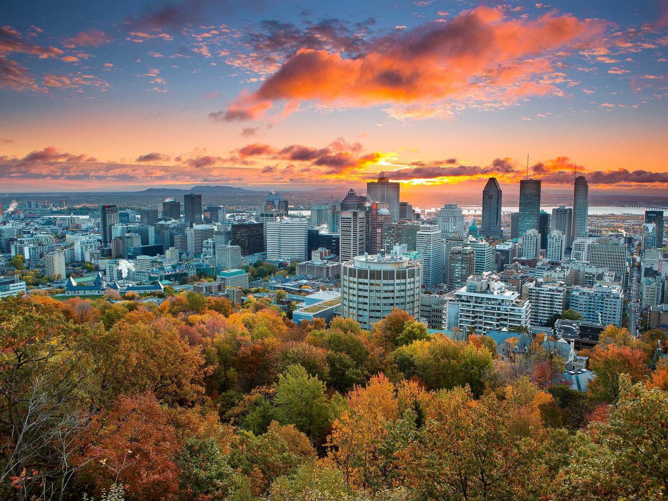 Best Places To See Fall Colours in Montreal