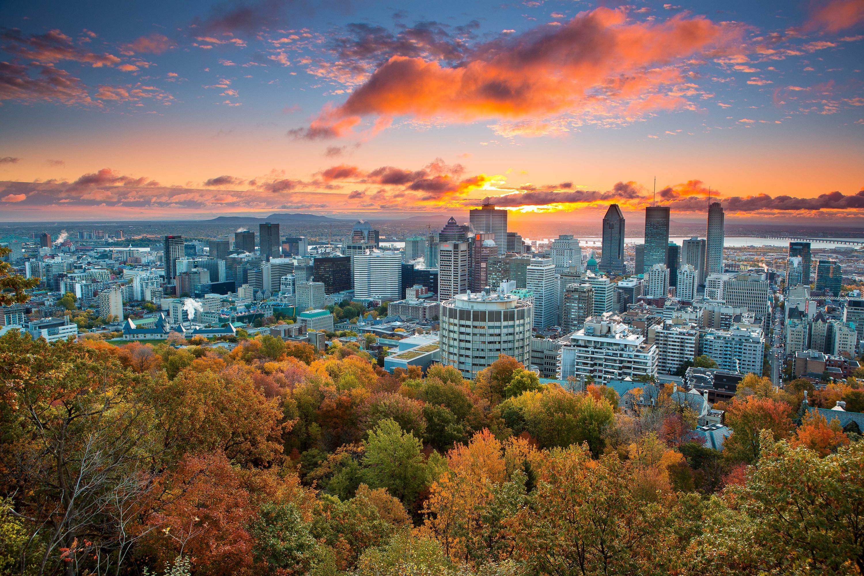 short courses in montreal        <h3 class=