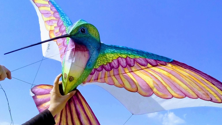 Colibrí de papel sostenido por una mano