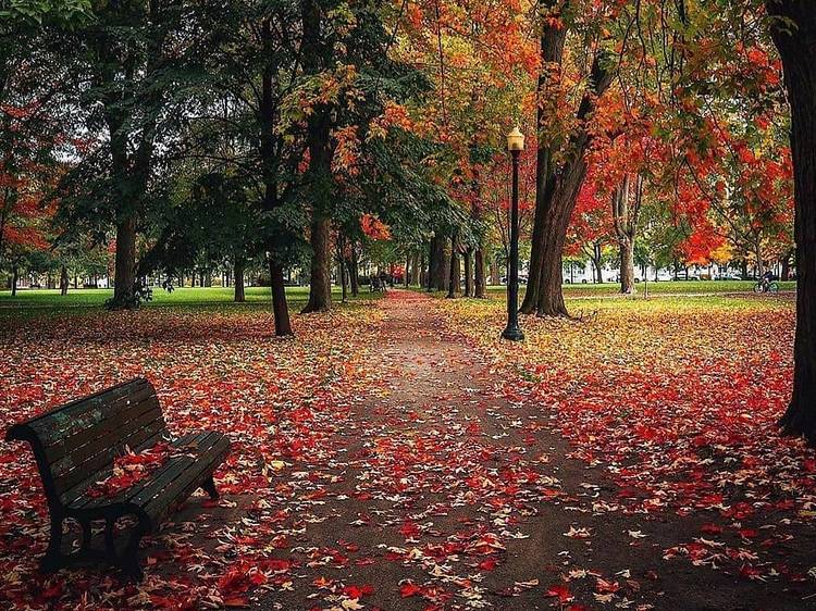 Parc La Fontaine