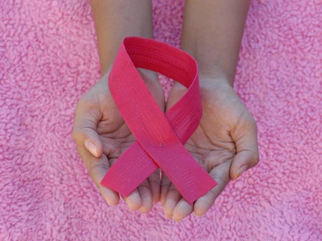 Luta Contra o Cancro da Mama Luta Contra o Cancro da Mama