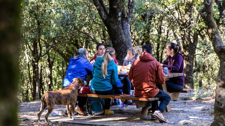  A comer, ¡donde toca!