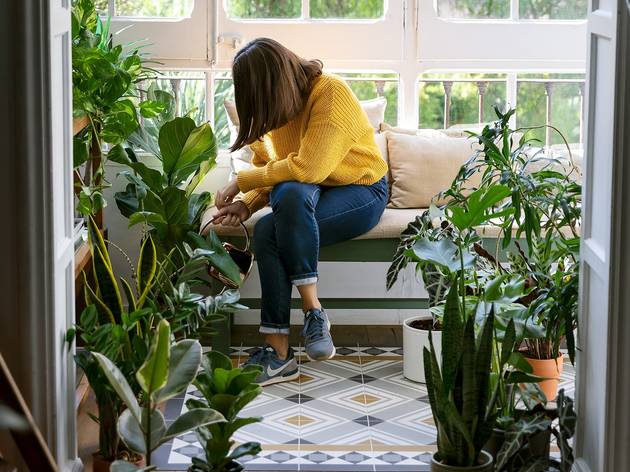 Mujer regando sus plantas de interior