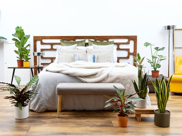 Un dormitorio lleno de plantas y vida