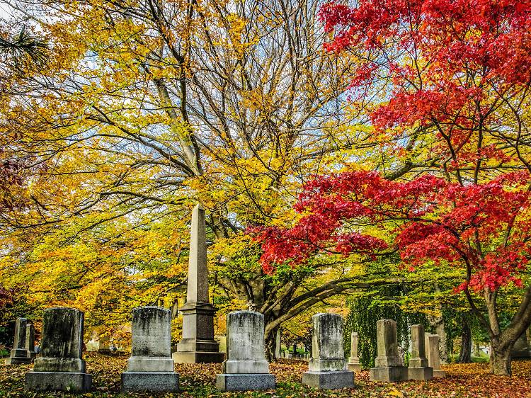 Green-Wood Cemetery