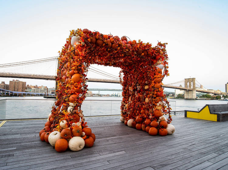 pier 17 pumpkin arch