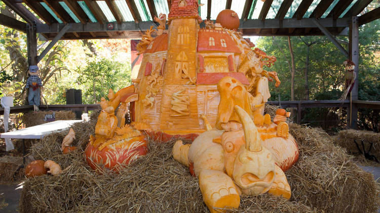 Boo at the Zoo at the Bronx Zoo