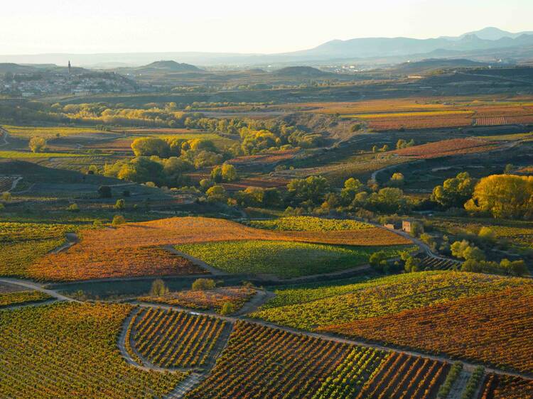 Europe’s best wine destinations in 2025, ranked
