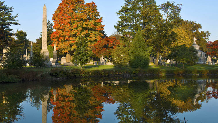 Woodlawn Cemetery