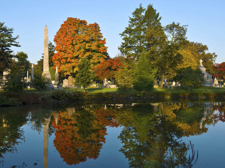 Woodlawn Cemetery