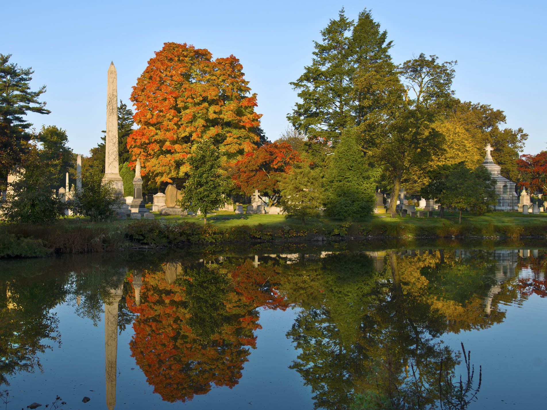 woodlawn cemetery