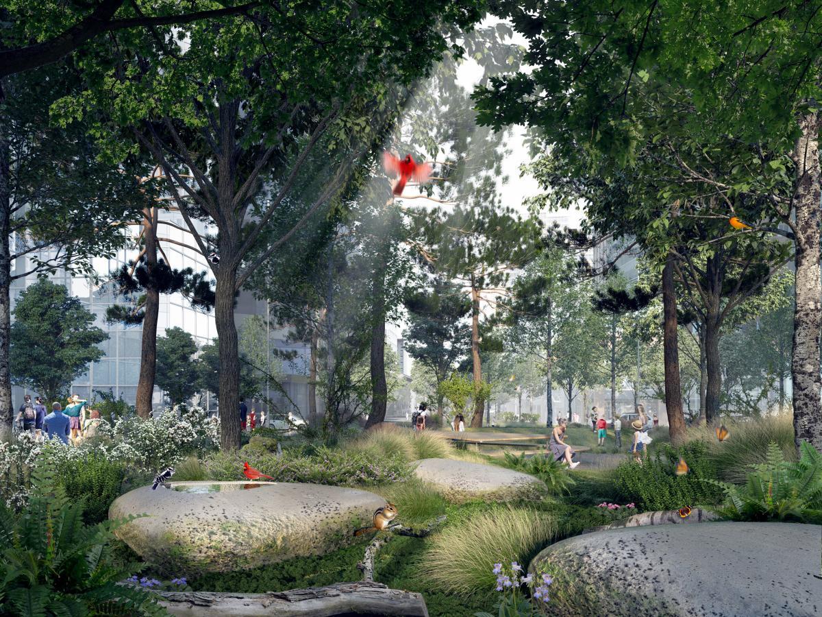 Montreal Unveils the Design for its Downtown Urban Forest