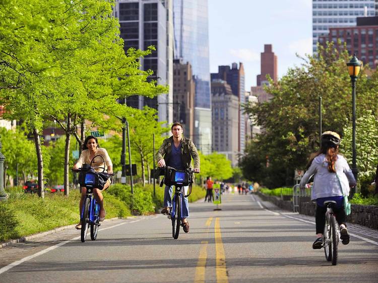 Cyclists cycling through a park