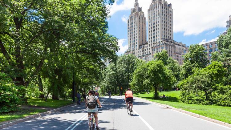 Central Park | New York City, NY