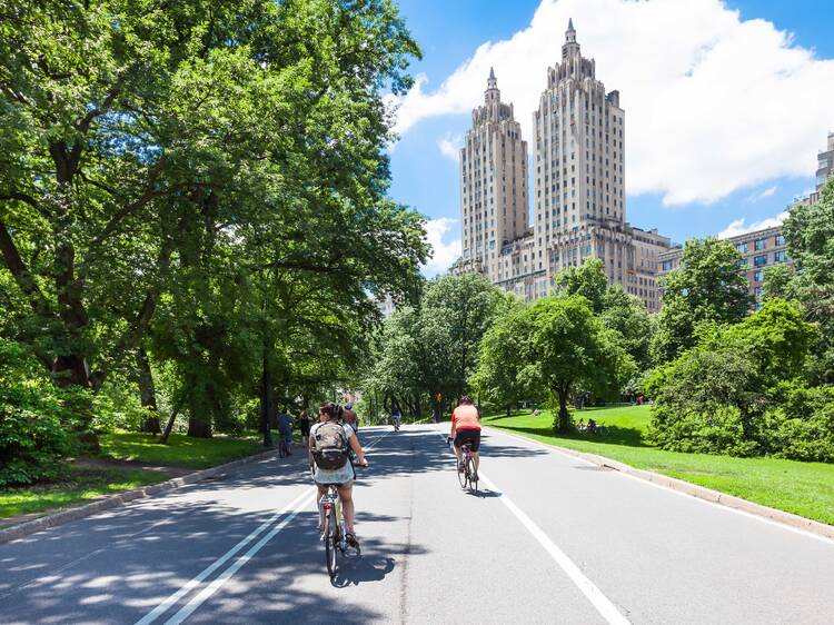 Central Park | New York City, NY