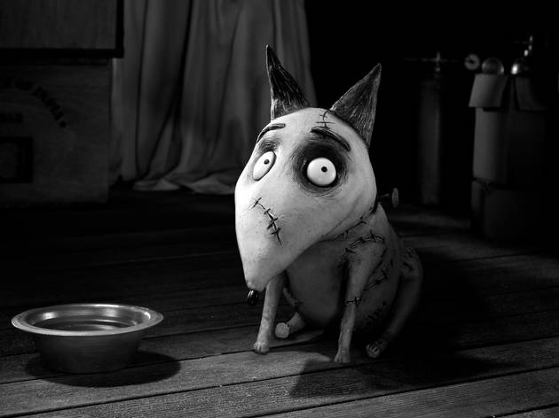 frankenweenie
