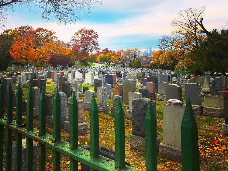 Mount Olivet Cemetery