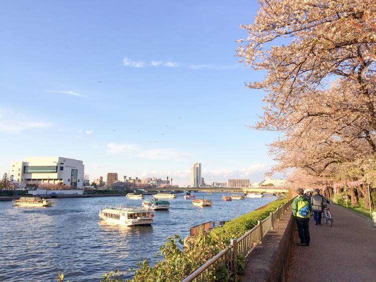 Destination: Asakusa