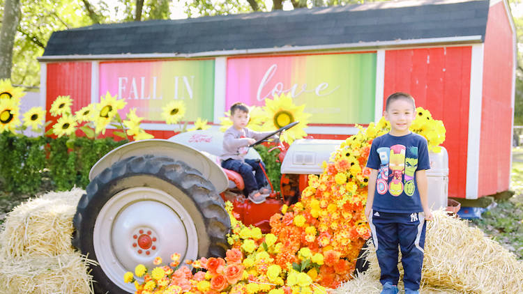 queens county farm fall florals