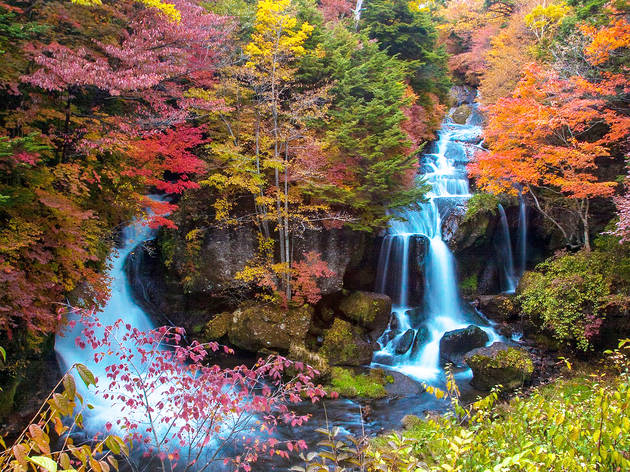 Nikko, Ryuzu Falls, autumn Nikko, Ryuzu Falls, autumn