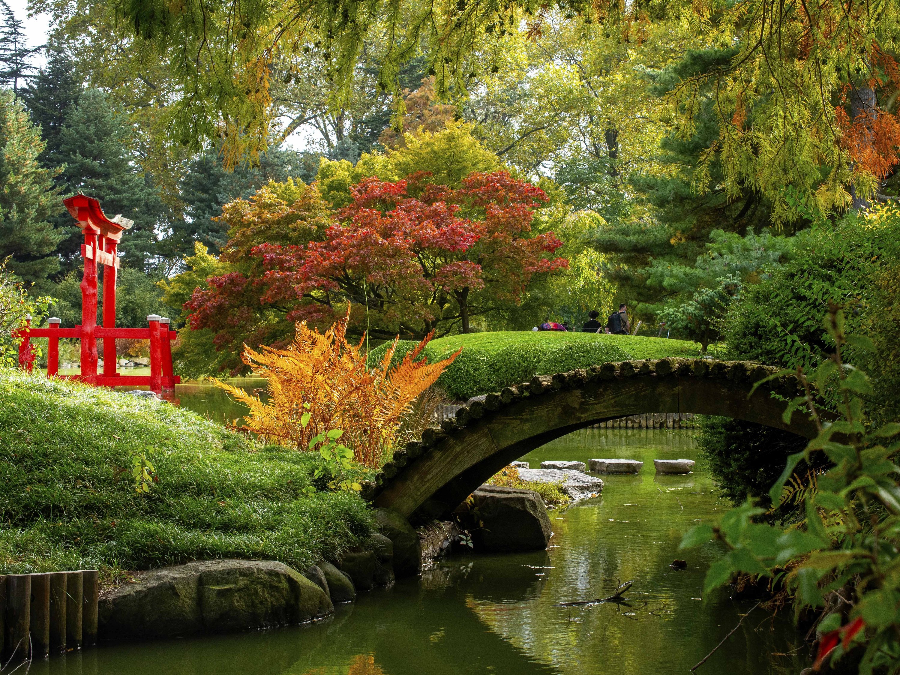 are dogs allowed at brooklyn botanical garden