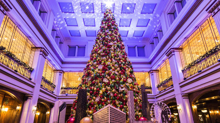 Macys Christmas Tree Lighting 2022 The Great Tree At Macy's Walnut Room | Attractions In Chicago